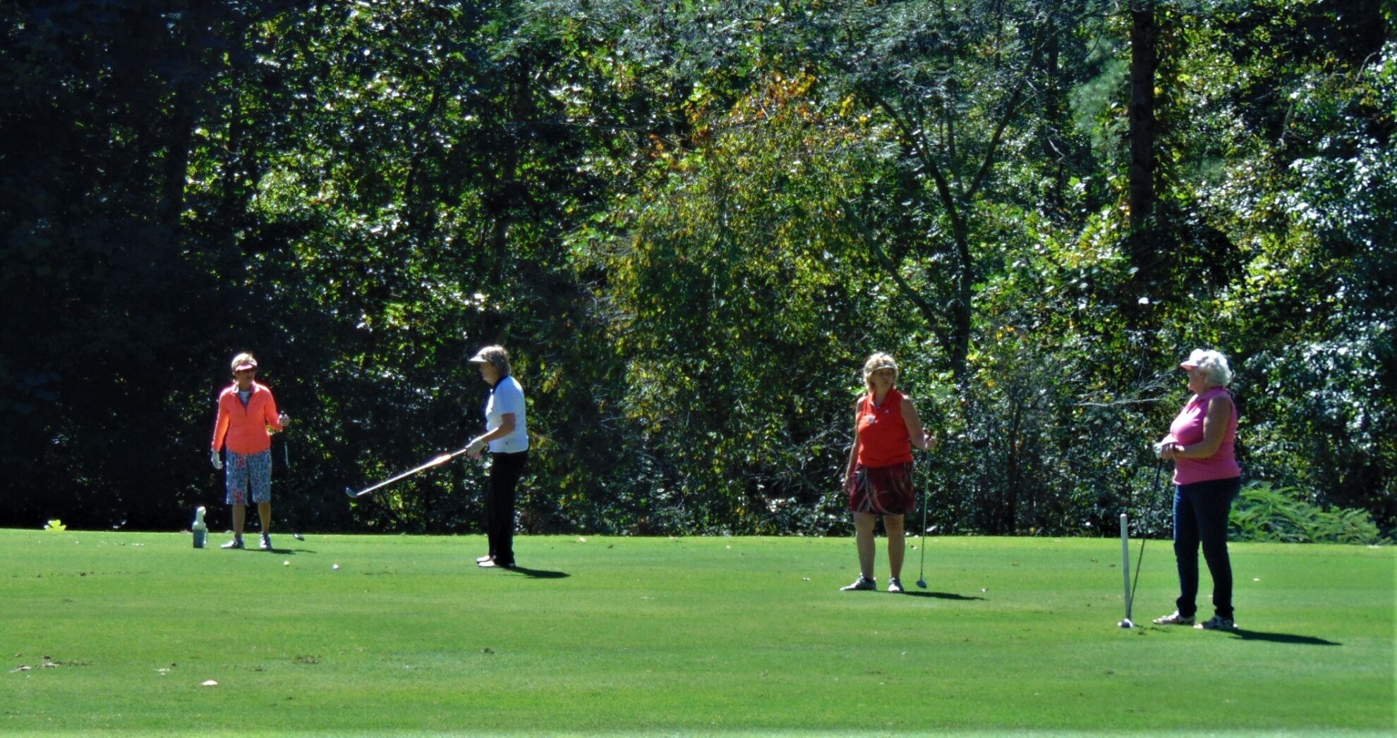 Golf group